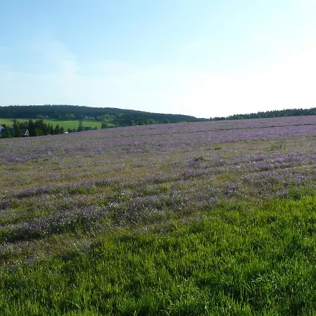 Gasthaus Ruebenau Rubenau