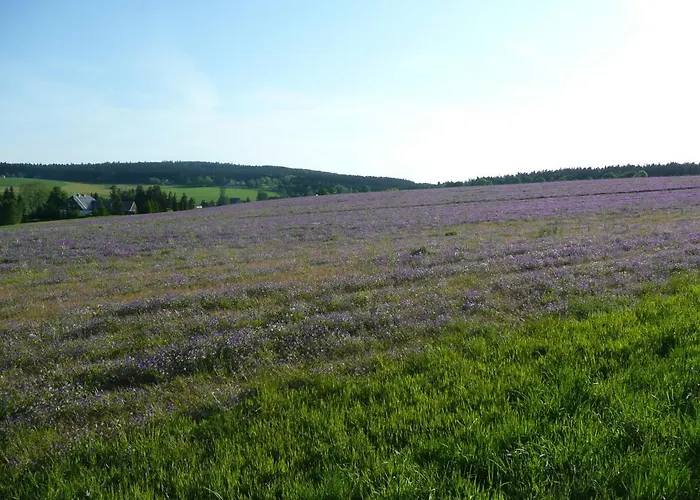 Gasthaus Ruebenau Rubenau